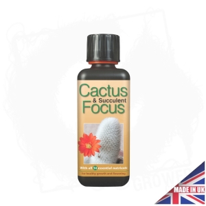 Cactus Focus 300 ml - odżywka dla kaktusów