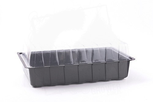 Mini szklarenka do ukorzeniania i kielkowania 36x22xh13cm.jpg