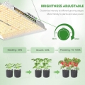 LED MarsHydro TS1000 5.jpg
