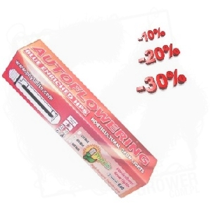 Auto flowering-%.jpg