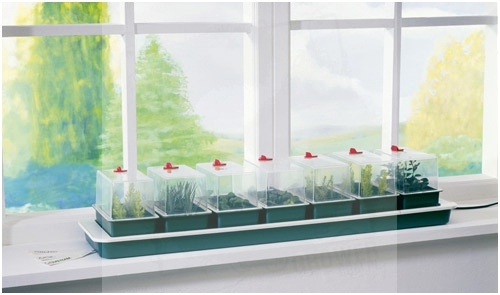 Super 7 Electric Windowsill propagator Garland.jpg
