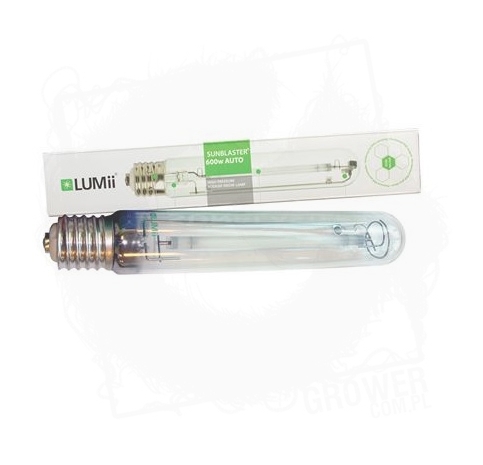 Lumii 600W Auto.jpg