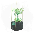 Dirt Pot donica materiałowa kwadratowa.jpg