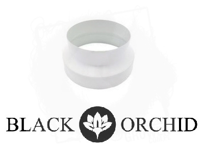 Black Orhid redukcja.jpg