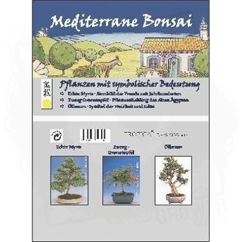 Śródziemnomorskie bonsai.jpg