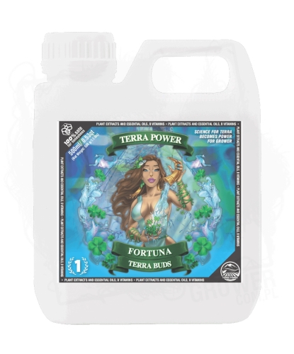 FORTUNA –TERRA BUDS.jpg