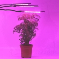 HERBGARDEN Clip on grow LED Triple lampka z klipsem 30W pilot 7.jpg