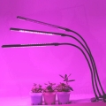 HERBGARDEN Clip on grow LED Triple lampka z klipsem 30W pilot 8.jpg