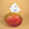 Integra Boost Terpene Essentials Myrcene 1.jpg