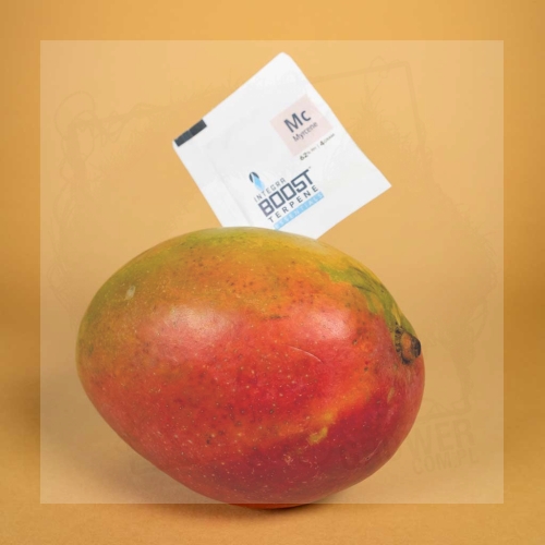Integra Boost Terpene Essentials Myrcene 1.jpg
