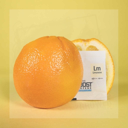 Integra Boost Terpene Essentials Limonane 1.jpg