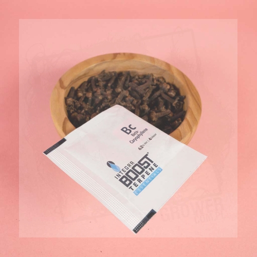 Integra Boost Terpene Essentials Beta Caryophyllene 1.jpg