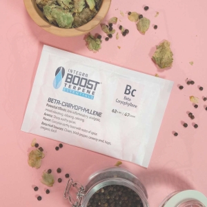 Integra Boost 67g-62% Bc Terpene Essentials-Beta-Cariophyllene - aromat,smak,zapach,regulator wilgotności