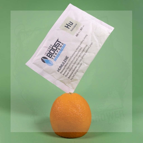 Integra Boost Terpene Essentials Humulene 67g 1.jpg
