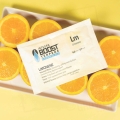 Integra Boost Terpene Essentials Limonene 67g 1.jpg