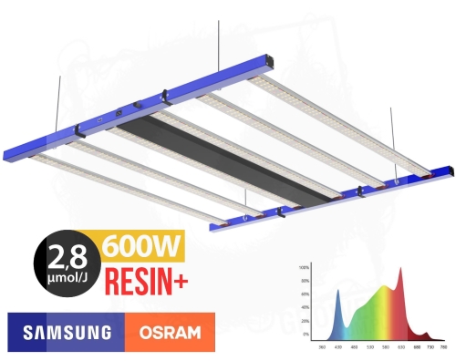 AX RESIN+600W 1.jpg