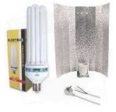 elektrox kwitnienie.jpg