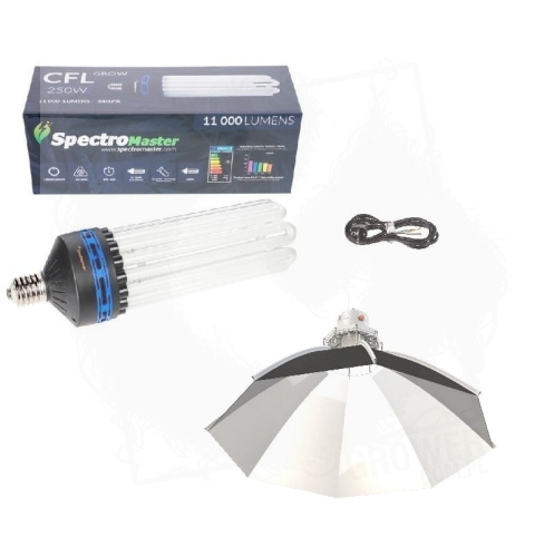 spectro zest grow daisy.jpg