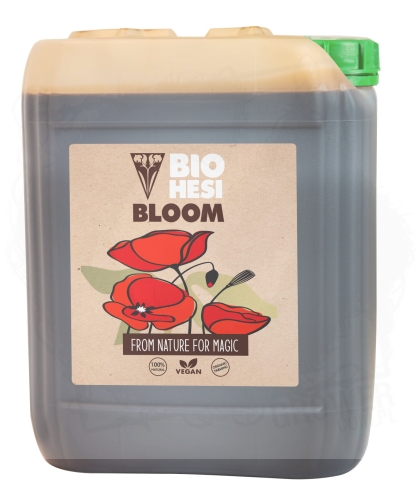 BLOOM 3.jpg