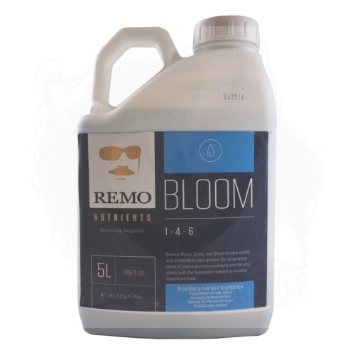 bloom 5.jpg