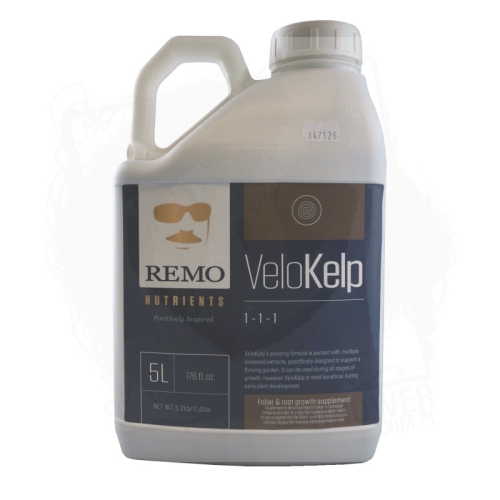 velokelp 5.jpg