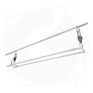 Lampa TNOLED 2x40W-kwitnienie, powierzchnia 120x40cm