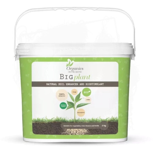 BIGPLANT 3KG.jpg