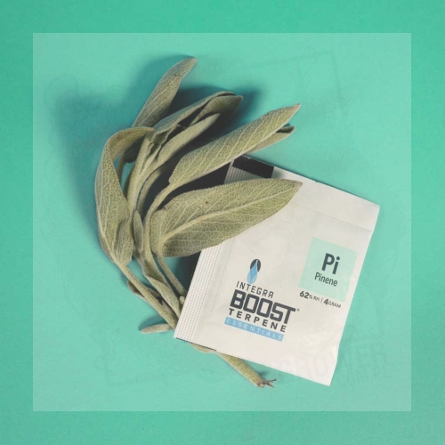 Integra Boost Terpene Essentials Pinene 1.jpg