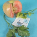 Integra Boost Terpene Essentials Terpinolene 1.jpg