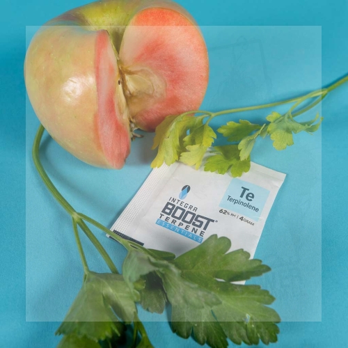 Integra Boost Terpene Essentials Terpinolene 1.jpg