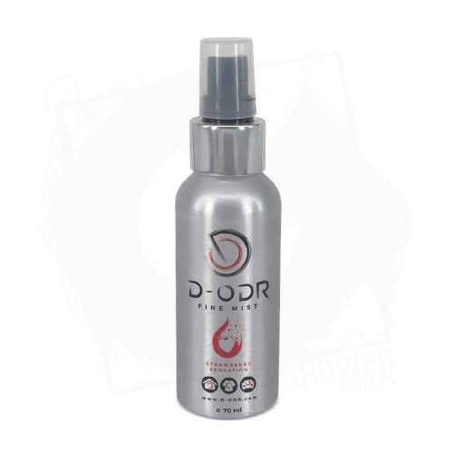 Strawberry Sensation.jpg