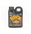 rock-resinator 800.jpg