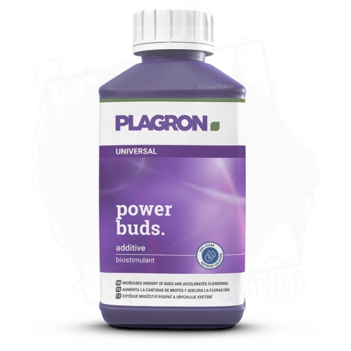 power-buds 100-250.jpg