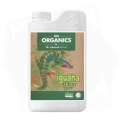 Iguana Juice grow.jpg