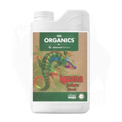 Iguana Juice bloom.jpg