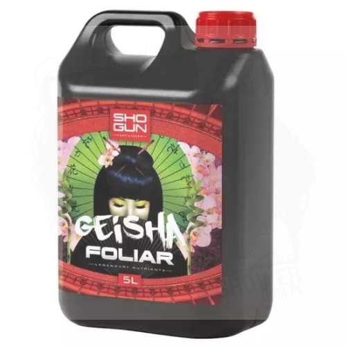 geisha 5L.jpg