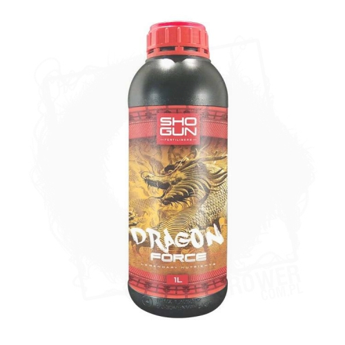 dragon force 1L.jpg