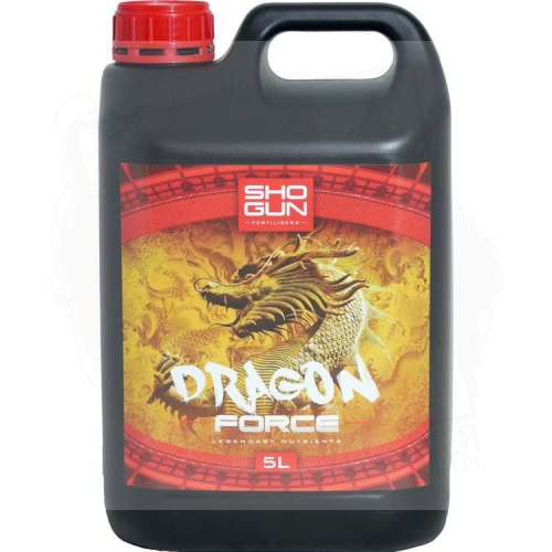 dragon force 5L.jpg