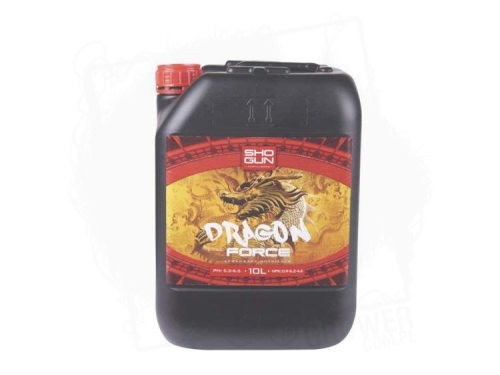 dragon force 10L.jpg