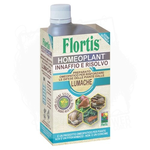 ślimaki lumache.jpg