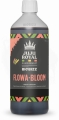 bloom 1.jpg