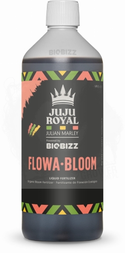 bloom 1.jpg