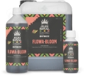 bloom 2.jpg