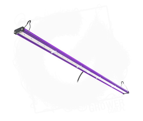 LED dlugi.jpg