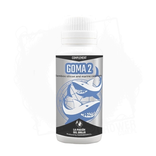 GOMA 2 100.jpg