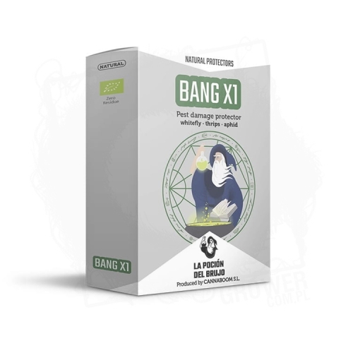 BANG X1 75ML.jpg