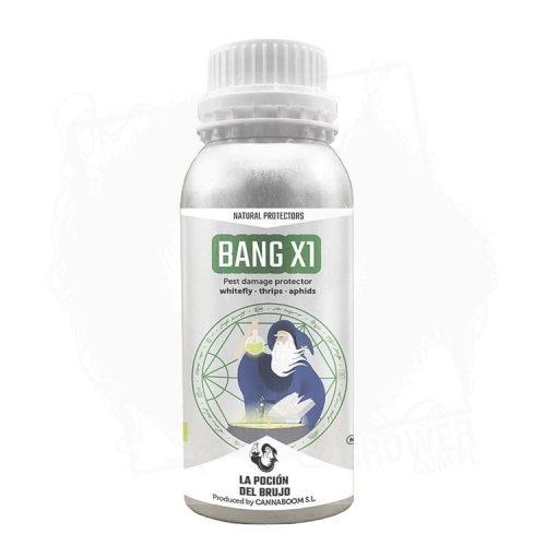BANG X1 600ML.jpg