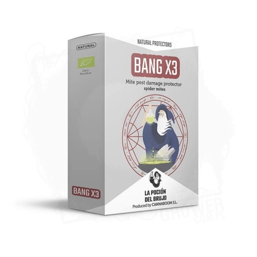 BANG X3 75ML.jpg