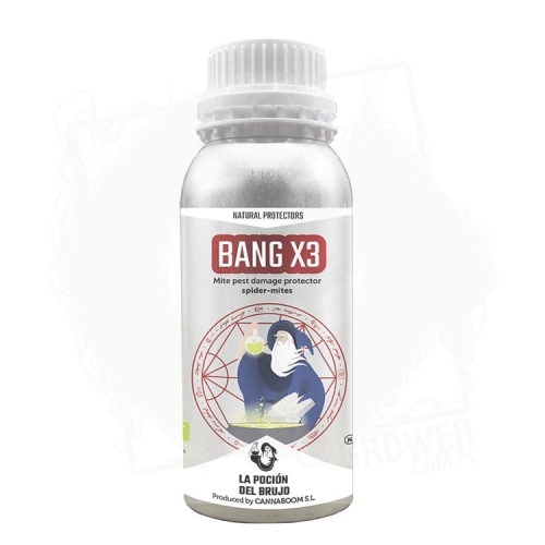 BANG X3 600ML.jpg