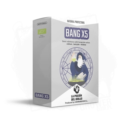 BANG X5 75.jpg